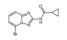 N-(5-溴[1,2,4]三唑并[1,5-a]吡啶-2-基)环丙烷甲酰胺.png
